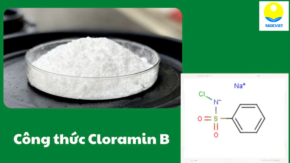 Công thức Cloramin B dùng để vệ sinh khử trùng cơ sở chế biến thực phẩm