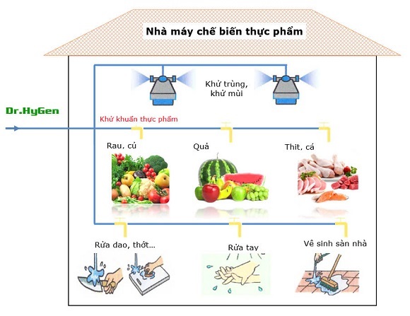 Sử dụng Dr.Hygen làm chất khử khuẩn trong nhà máy chế biến thực phẩm