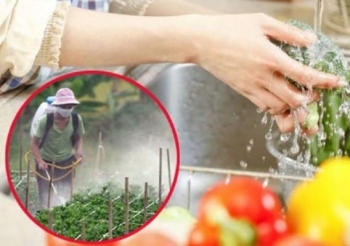 Khảo sát sự có mặt của dư lượng thuốc bảo vệ thực vật trong các loại rau củ quả cung cấp tại các bếp ăn