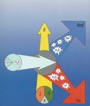 Nước muối hoạt hóa điện hóa MixHypo500 đặc điểm và ứng dụng