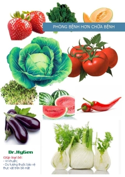 VỆ SINH AN TOÀN THỰC PHẨM - ĐỀ PHÒNG NGỘ ĐỘC THỰC PHẨM