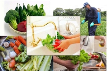 Thực trạng mức độ an toàn của dư lượng thuốc bảo vệ thực vật trong nông sản ở Việt Nam